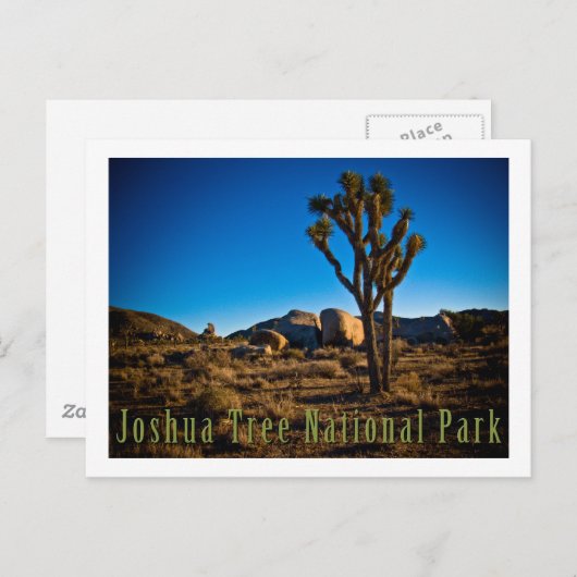 Nationaal park Joshua Tree Briefkaart (Voorkant / Achterkant)
