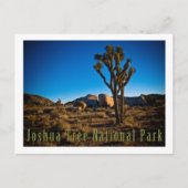 Nationaal park Joshua Tree Briefkaart (Voorkant)