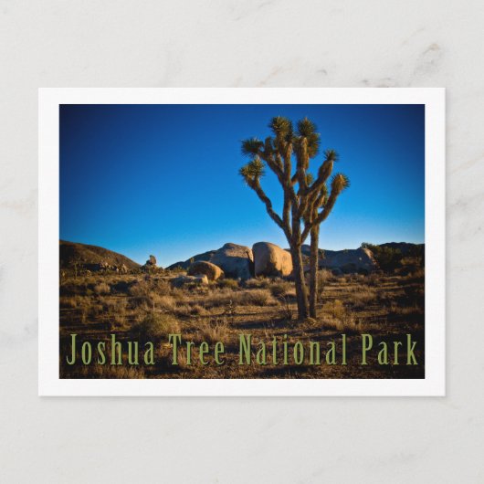 Nationaal park Joshua Tree Briefkaart (Voorkant)