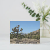 Nationaal park Joshua Tree Briefkaart (Staand voorkant)