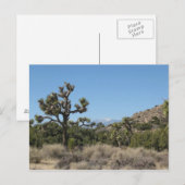 Nationaal park Joshua Tree Briefkaart (Voorkant / Achterkant)
