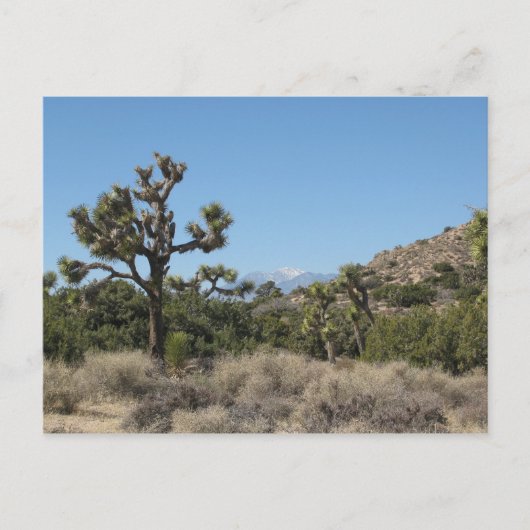 Nationaal park Joshua Tree Briefkaart (Voorkant)