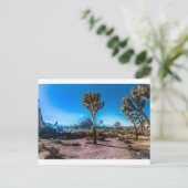Nationaal park Joshua Tree Briefkaart (Staand voorkant)
