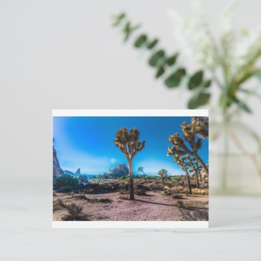 Nationaal park Joshua Tree Briefkaart (Staand voorkant)