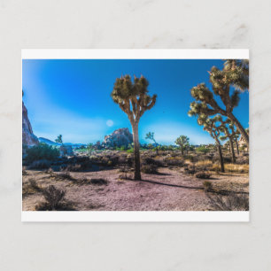 Nationaal park Joshua Tree Briefkaart