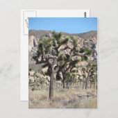 Nationaal park Joshua Tree Briefkaart (Voorkant / Achterkant)