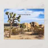 Nationaal park Joshua Tree Briefkaart (Voorkant)