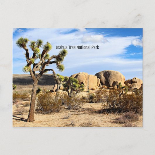 Nationaal park Joshua Tree Briefkaart (Voorkant)