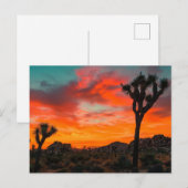 Nationaal park Joshua Tree Briefkaart (Voorkant / Achterkant)