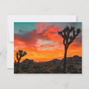 Nationaal park Joshua Tree Briefkaart