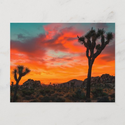 Nationaal park Joshua Tree Briefkaart (Voorkant)