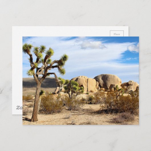 Nationaal park Joshua Tree Briefkaart (Voorkant / Achterkant)
