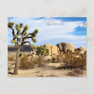 Nationaal park Joshua Tree Briefkaart