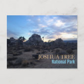 Nationaal park Joshua Tree Briefkaart (Voorkant)