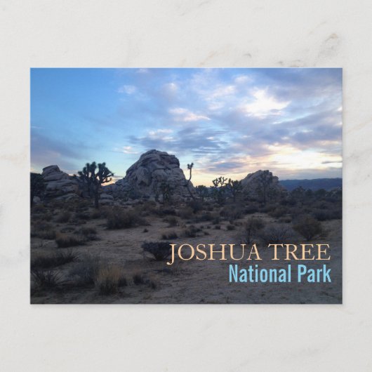 Nationaal park Joshua Tree Briefkaart (Voorkant)