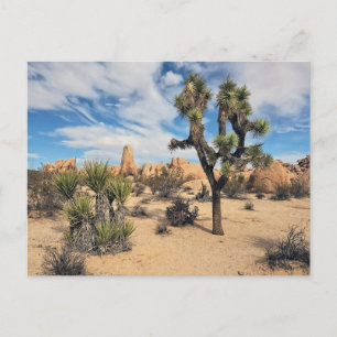Nationaal park Joshua Tree Briefkaart