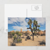 Nationaal park Joshua Tree Briefkaart (Voorkant / Achterkant)