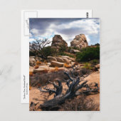 Nationaal park Joshua Tree Briefkaart (Voorkant / Achterkant)