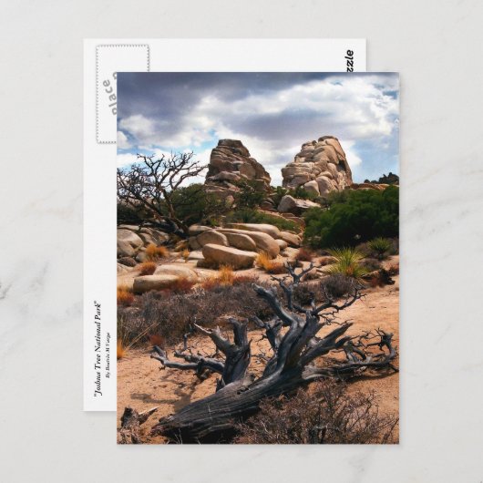 Nationaal park Joshua Tree Briefkaart (Voorkant / Achterkant)