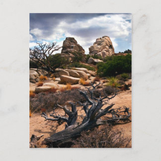 Nationaal park Joshua Tree Briefkaart
