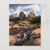 Nationaal park Joshua Tree Briefkaart (Voorkant)