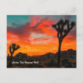 Nationaal park Joshua Tree Briefkaart (Voorkant)