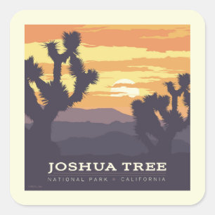 Nationaal park Joshua Tree   Californië Vierkante Sticker