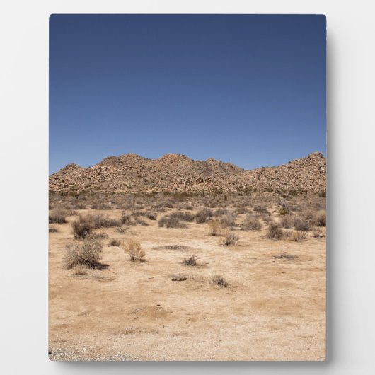 Nationaal park Joshua Tree Fotoplaat (Voorkant)
