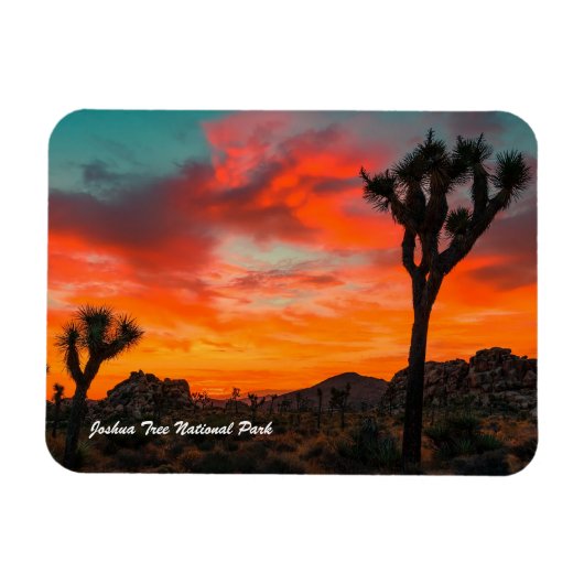 Nationaal park Joshua Tree Magneet (Horizontaal)
