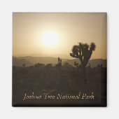 Nationaal park Joshua Tree Magneet (Voorkant)