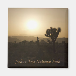 Nationaal park Joshua Tree Magneet