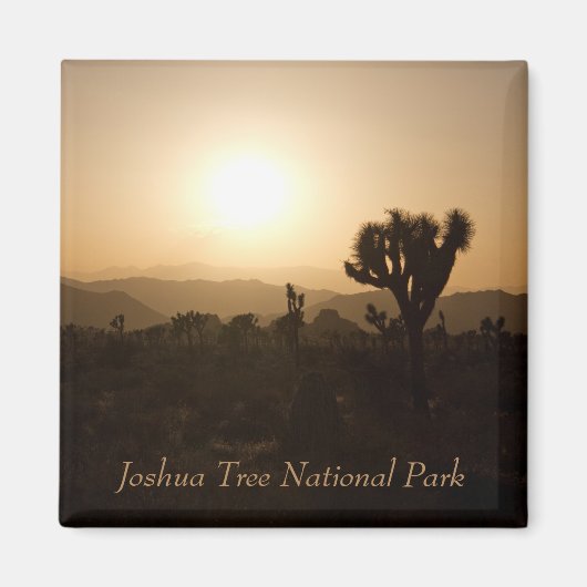 Nationaal park Joshua Tree Magneet (Voorkant)