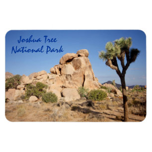 Nationaal park Joshua Tree Magneet