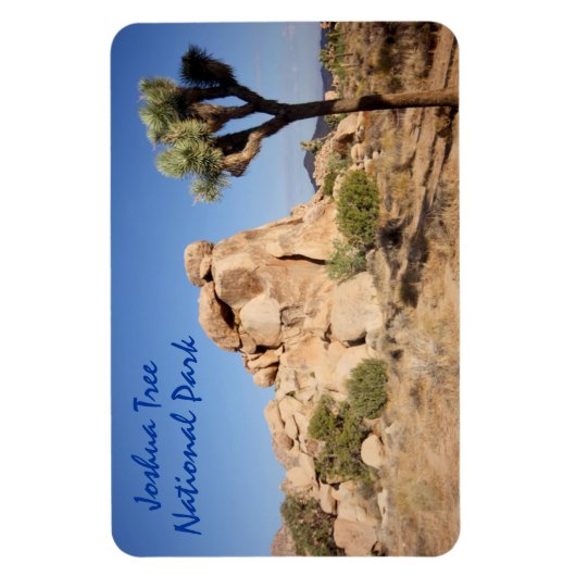 Nationaal park Joshua Tree Magneet (Verticaal)