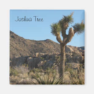 Nationaal park Joshua Tree Magneet