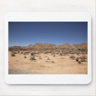 Nationaal park Joshua Tree Muismat