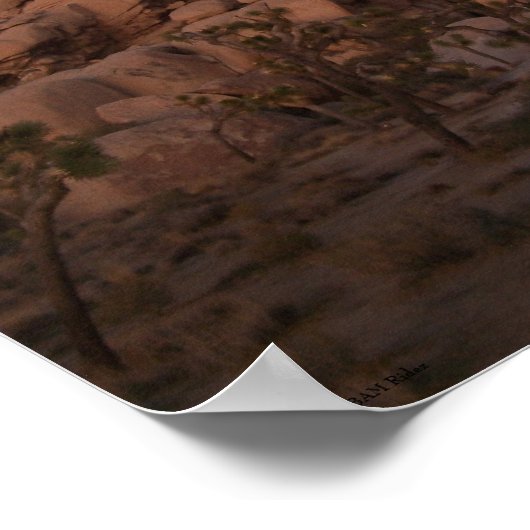 Nationaal Park Joshua Tree Poster (Hoek)