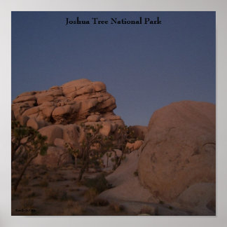 Nationaal Park Joshua Tree Poster