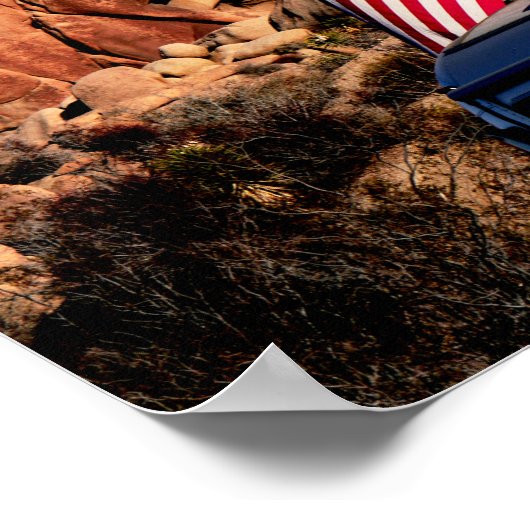 Nationaal park Joshua Tree Poster (Hoek)