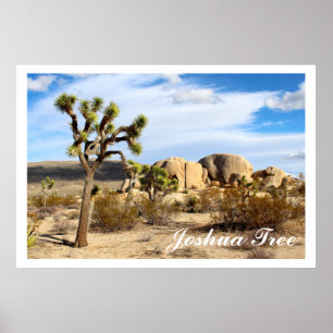 Nationaal park Joshua Tree Poster
