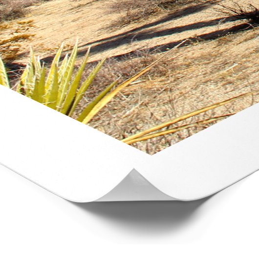 Nationaal park Joshua Tree Poster (Hoek)