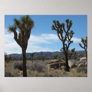 Nationaal park Joshua Tree Poster