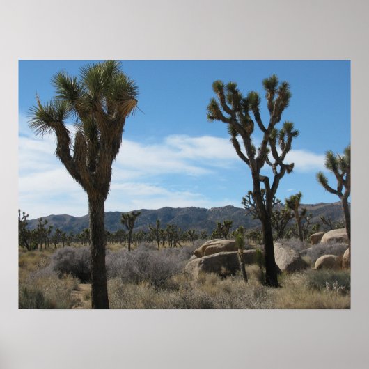 Nationaal park Joshua Tree Poster (Voorkant)