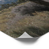 Nationaal park Joshua Tree Poster (Hoek)