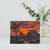 Nationaal park Joshua Tree Red Sunset Briefkaart (Staand voorkant)