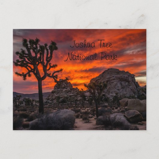 Nationaal park Joshua Tree Red Sunset Briefkaart (Voorkant)