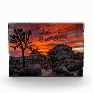 Nationaal park Joshua Tree Red Sunset Fotoblokken