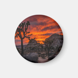 Nationaal park Joshua Tree Red Sunset Magneet