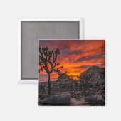 Nationaal park Joshua Tree Red Sunset Magneet (Voorkant / Achterkant)