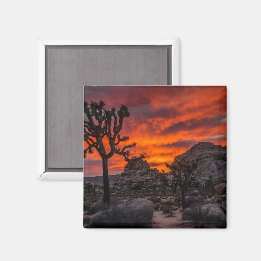 Nationaal park Joshua Tree Red Sunset Magneet (Voorkant / Achterkant)